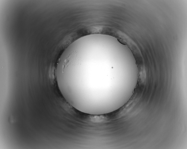 X0000096970525200802221405