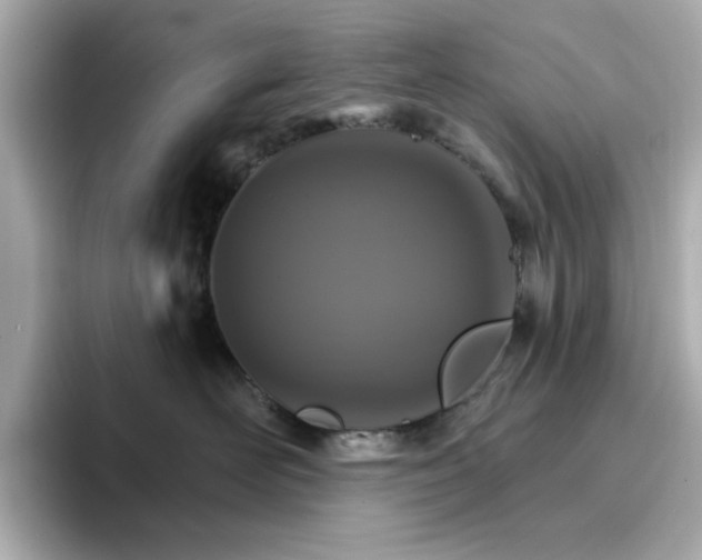 X0000096970526200802221405