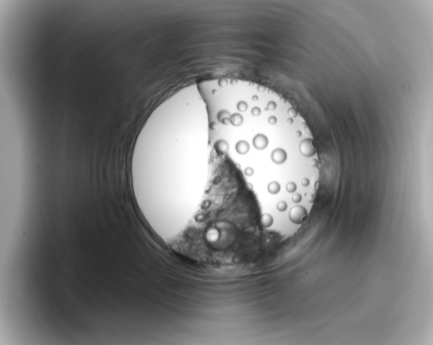 X0000096970527200802221405