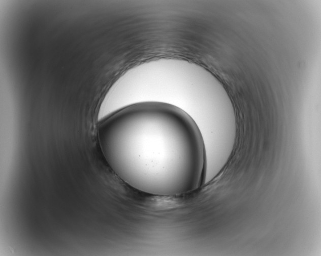 X0000096970528200802221405