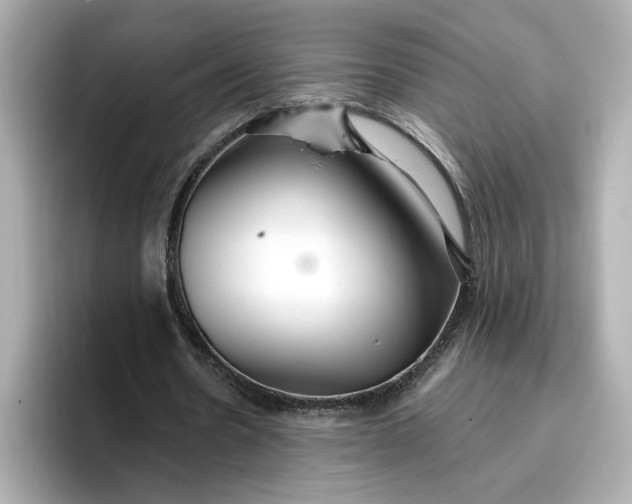 X0000096970530200802221405