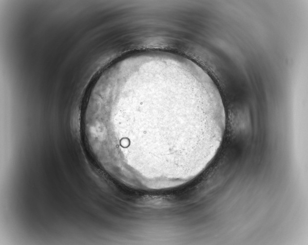 X0000096970534200802221405