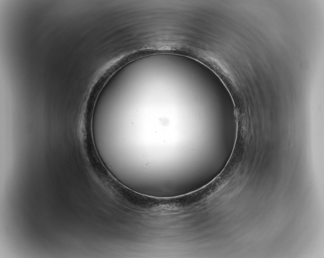 X0000096970536200802221405