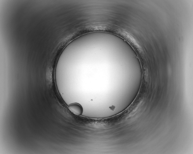 X0000096970537200802221405