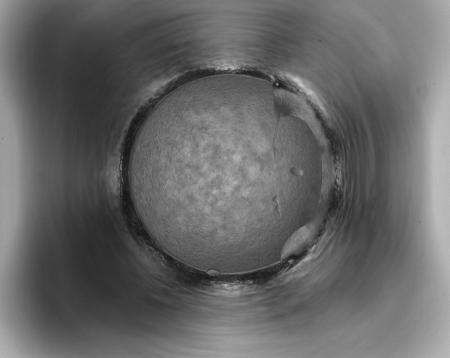 X0000096970540200802221405