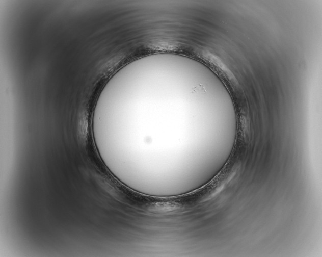 X0000096970541200802221405