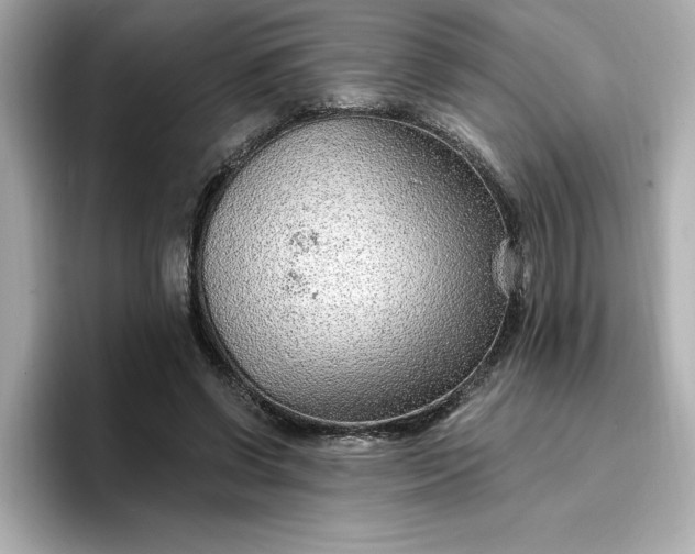 X0000096970542200802221405