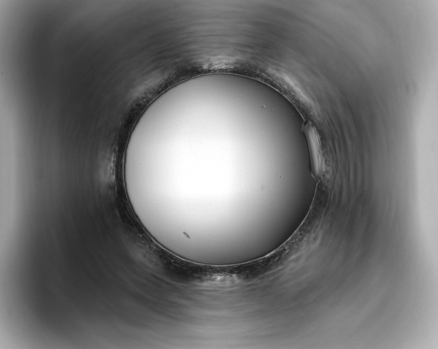 X0000096970543200802221405