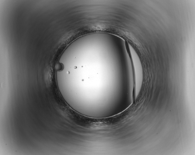 X0000096970544200802221405