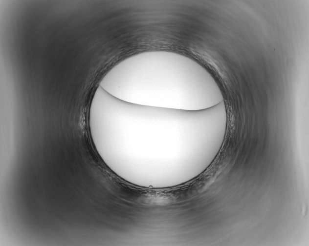 X0000096970545200802221405