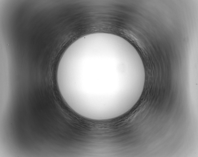 X0000096970546200802221405