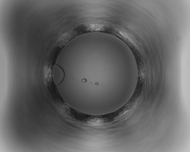 X0000096970551200802221405