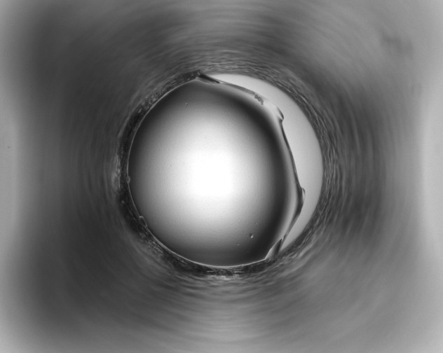 X0000096970552200802221405