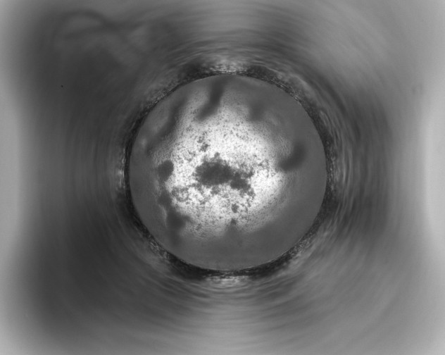 X0000096970553200802221405