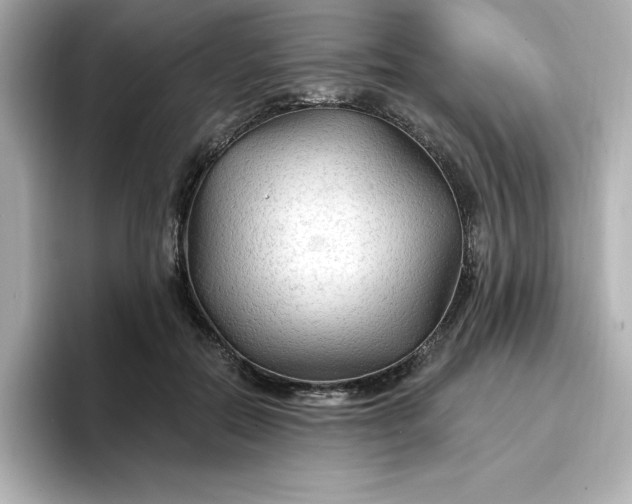 X0000096970554200802221405