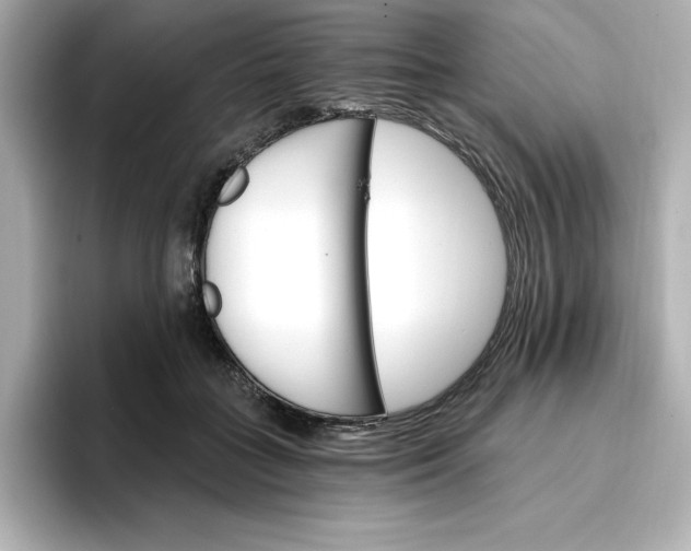 X0000096970555200802221405