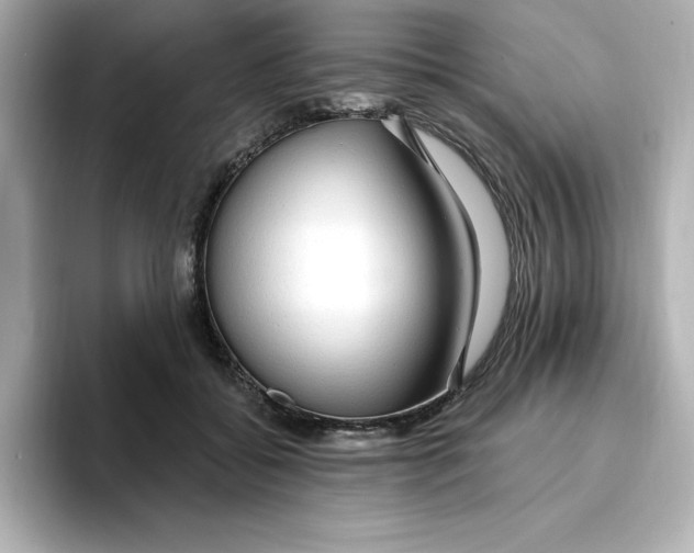 X0000096970556200802221405