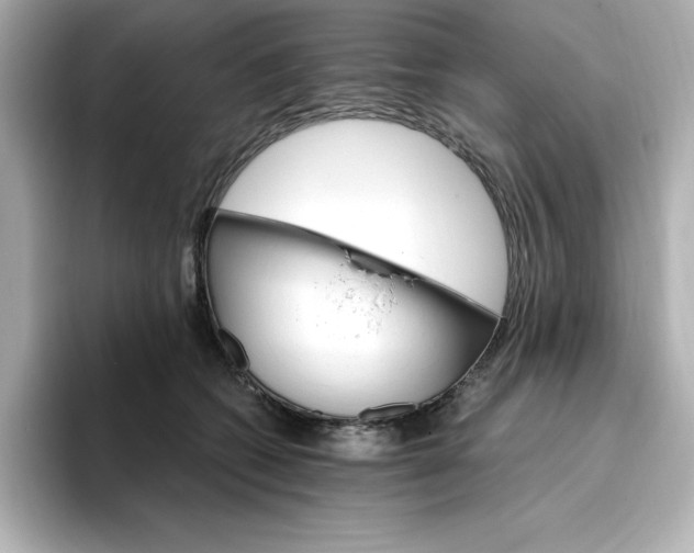 X0000096970562200802221405