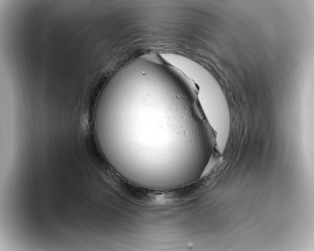 X0000096970564200802221405