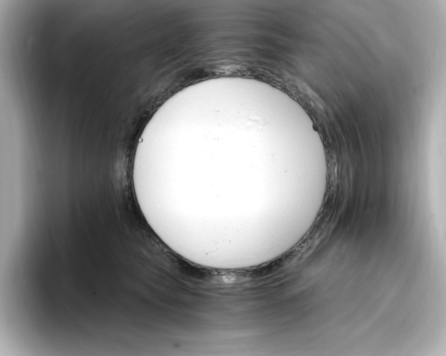 X0000096970565200802221405