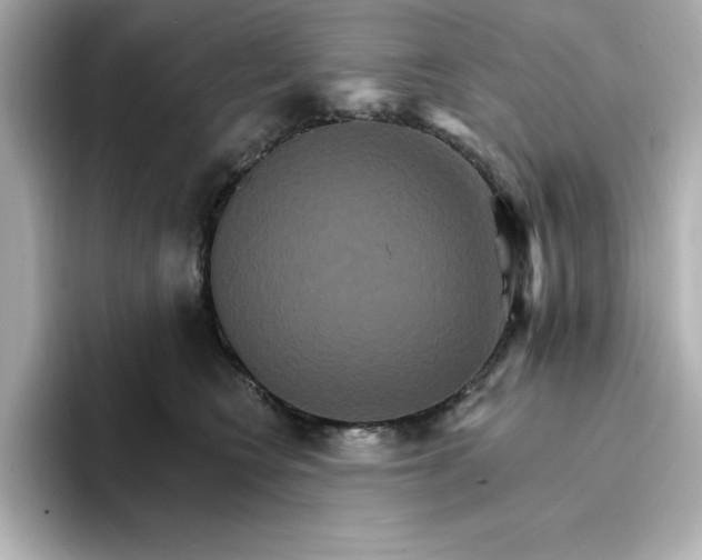 X0000096970566200802221405