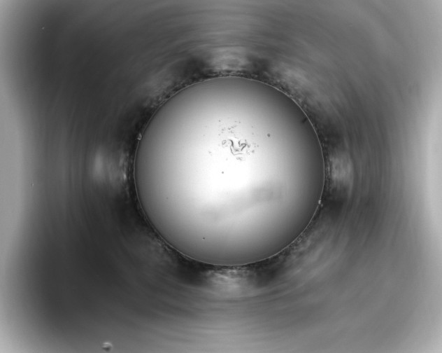 X0000096970567200802221405