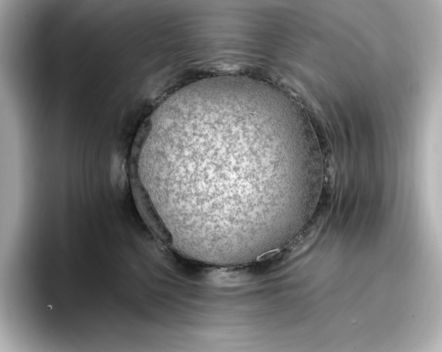 X0000096970568200802221405