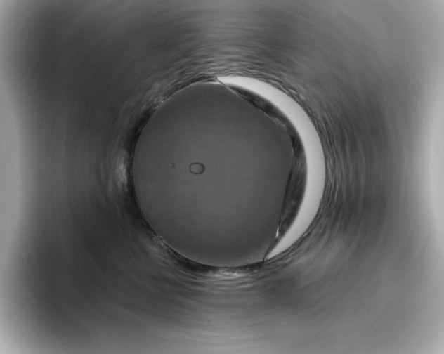 X0000096970570200802221405