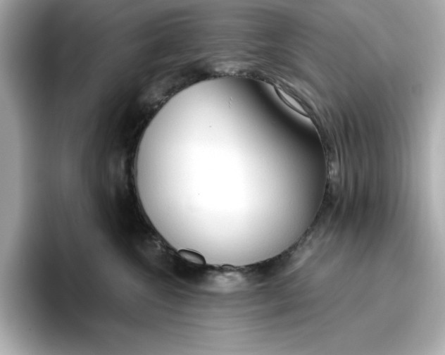 X0000096970572200802221405