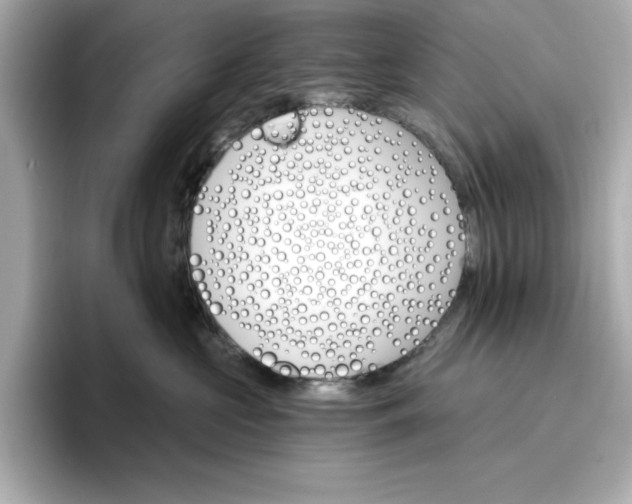 X0000096970573200802221405