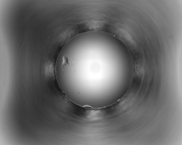 X0000096970575200802221405