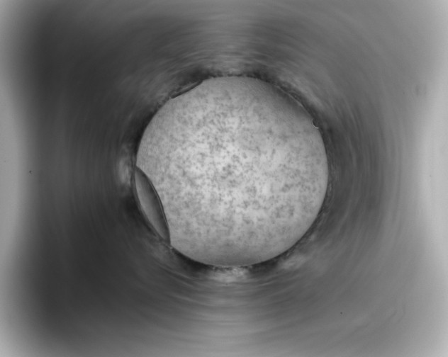 X0000096970576200802221405