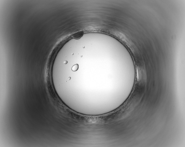 X0000096970579200802221405