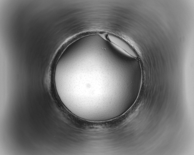 X0000096970580200802221405