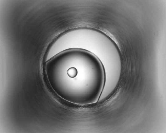 X0000096970581200802221405