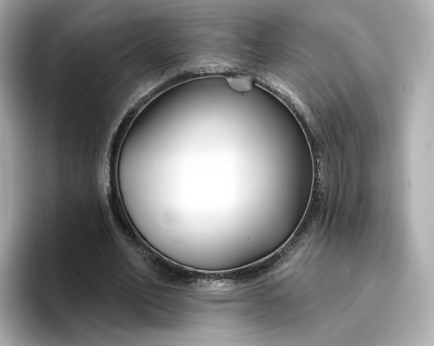 X0000096970582200802221405