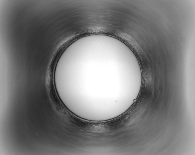 X0000096970583200802221405