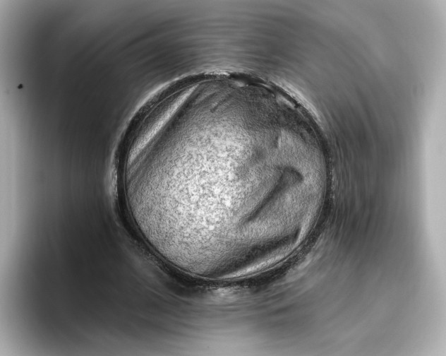 X0000096970584200802221404