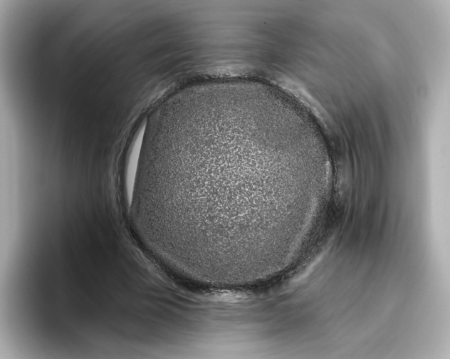 X0000096970585200802221404