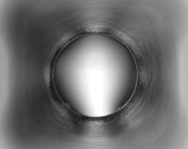 X0000096970586200802221404