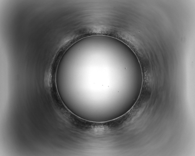 X0000096970587200802221404