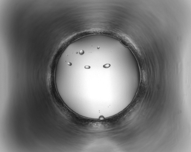 X0000096970588200802221404