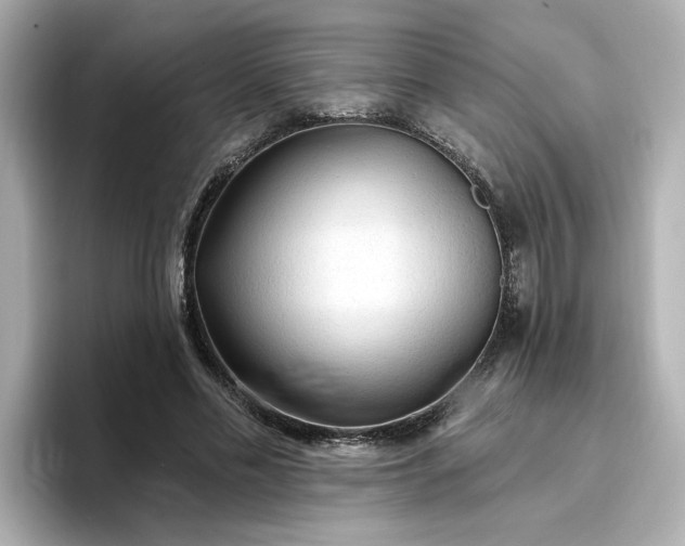 X0000096970589200802221404