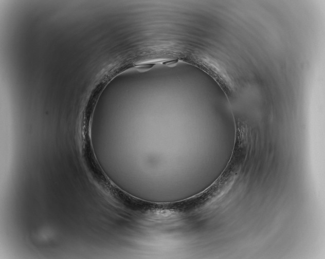 X0000096970590200802221404