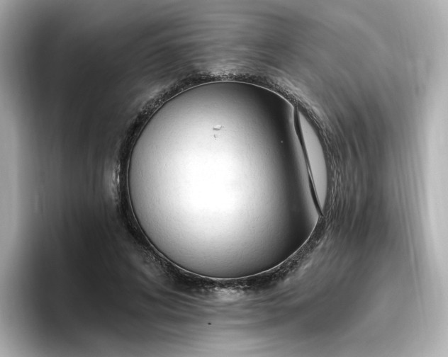 X0000096970592200802221404