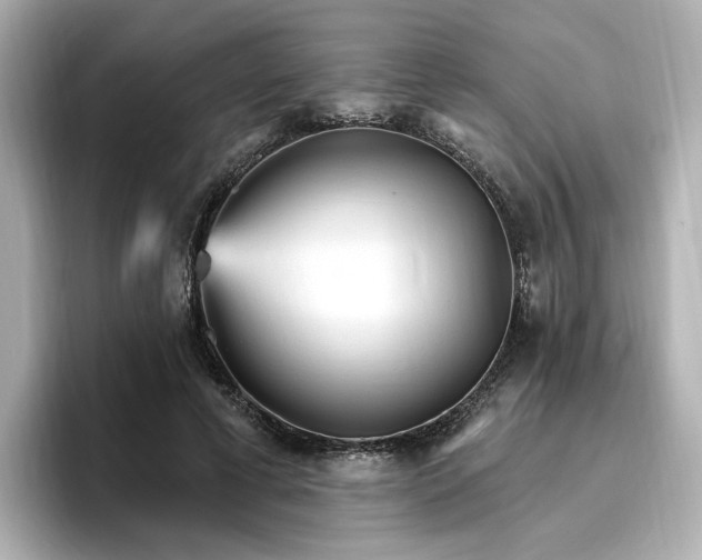 X0000096970593200802221404