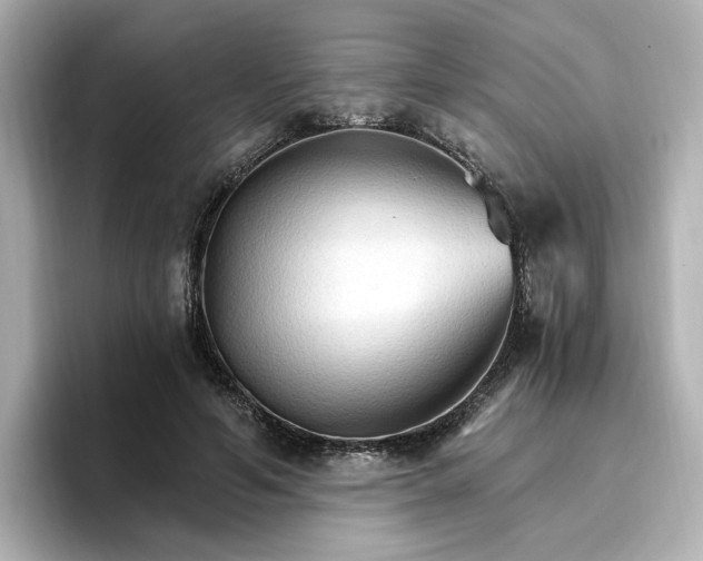 X0000096970594200802221404