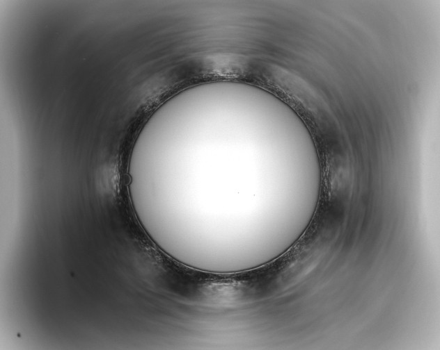 X0000096970595200802221404