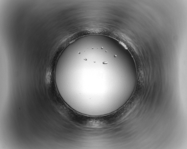 X0000096970596200802221404