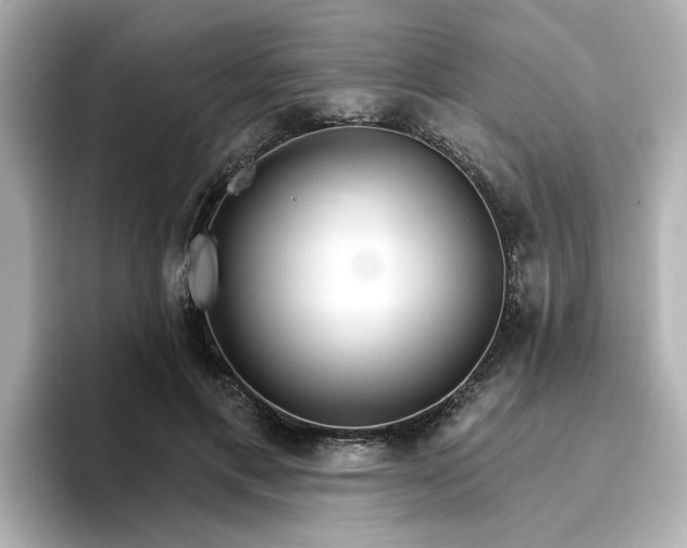 X0000096970597200802221404